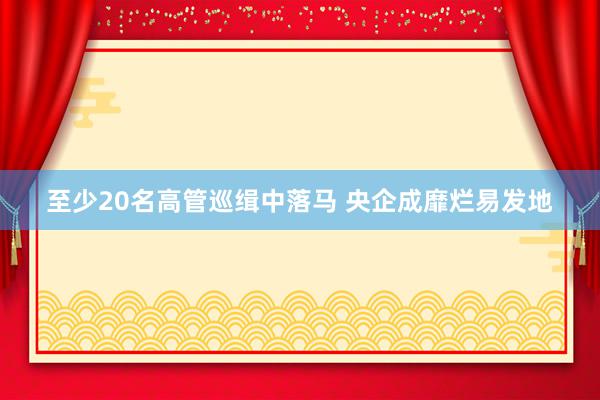 至少20名高管巡缉中落马 央企成靡烂易发地