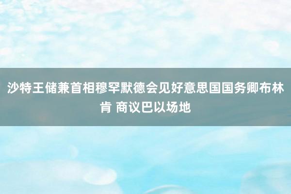 沙特王储兼首相穆罕默德会见好意思国国务卿布林肯 商议巴以场地